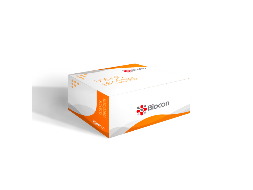 Teste Rápido / Influenza A/B / Cx. 10 Un. / Biocon